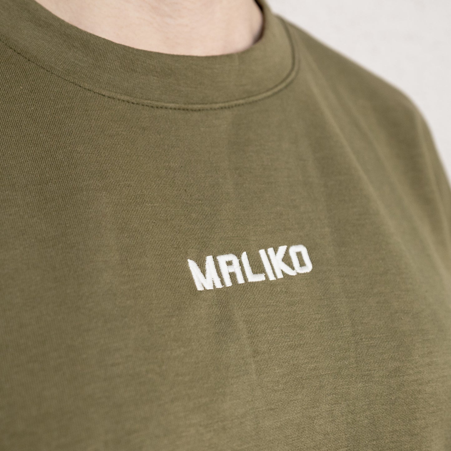 Training The Dog Oversized T-Shirt