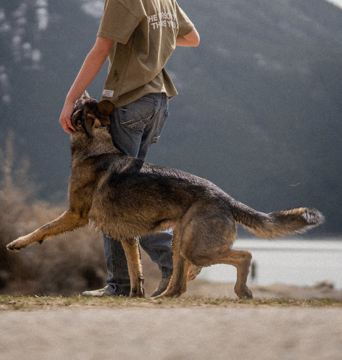 Dog Walking Outfit Ideas - How to Actually Build a Functional Training Wardrobe