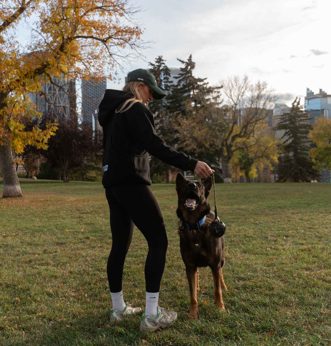 dog training hoody