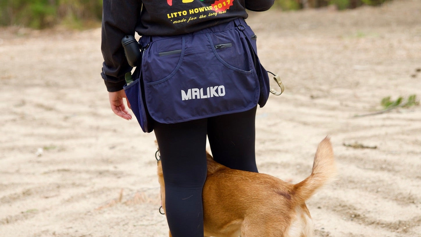 Person walking a dog on a dirt path with a blue MALIKO training belt