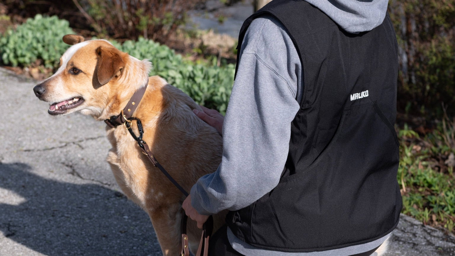 Black street style dog training vest with woman and a dog
