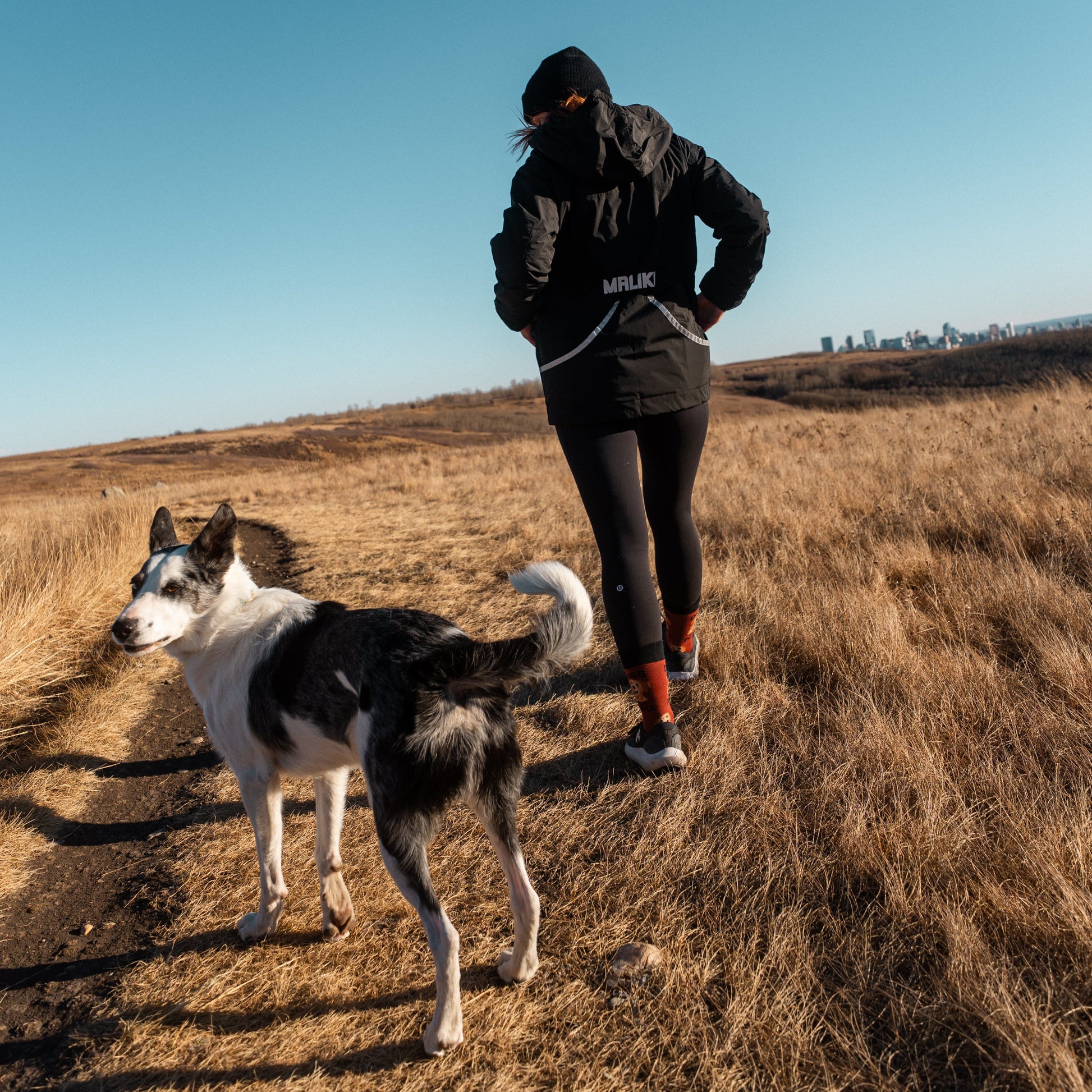 dogs walking with owner in maliko coat