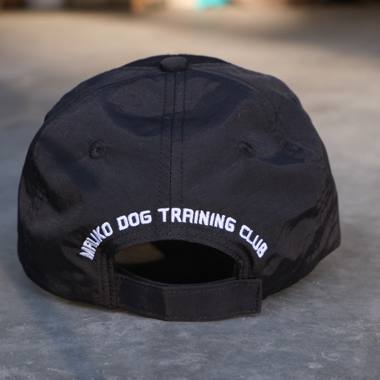 water proof dog training hat
