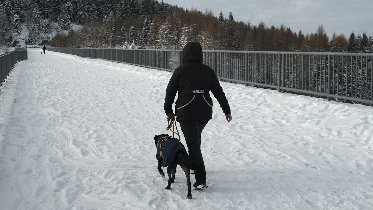 Person walking a dog on a snowy path with a scenic background WEARING MALIKO dog training coat